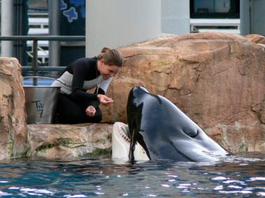 250106_tilikum3_original