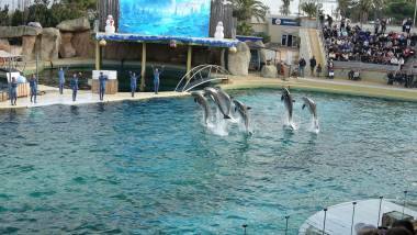 250125_marineland1_original