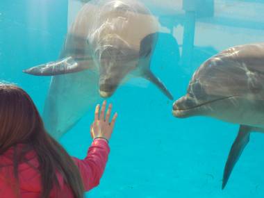 250408_marineland2_original