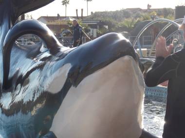 250408_marineland3_original