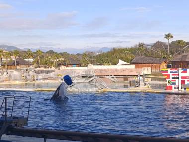 250411_marineland3_original