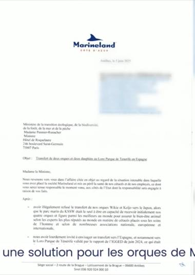 250616_marineland2_original