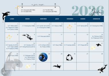 260123_orque3_original