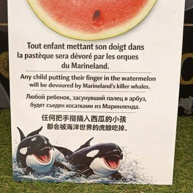 260720_marineland2_original