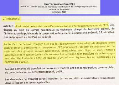 beauval-article2-transferts_original