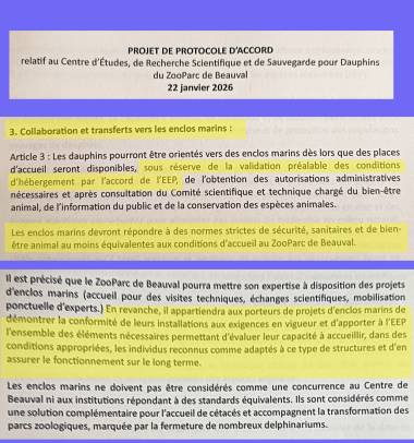 beauval-article3-enclosmarin1_original